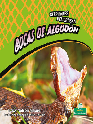 cover image of Bocas de algodón